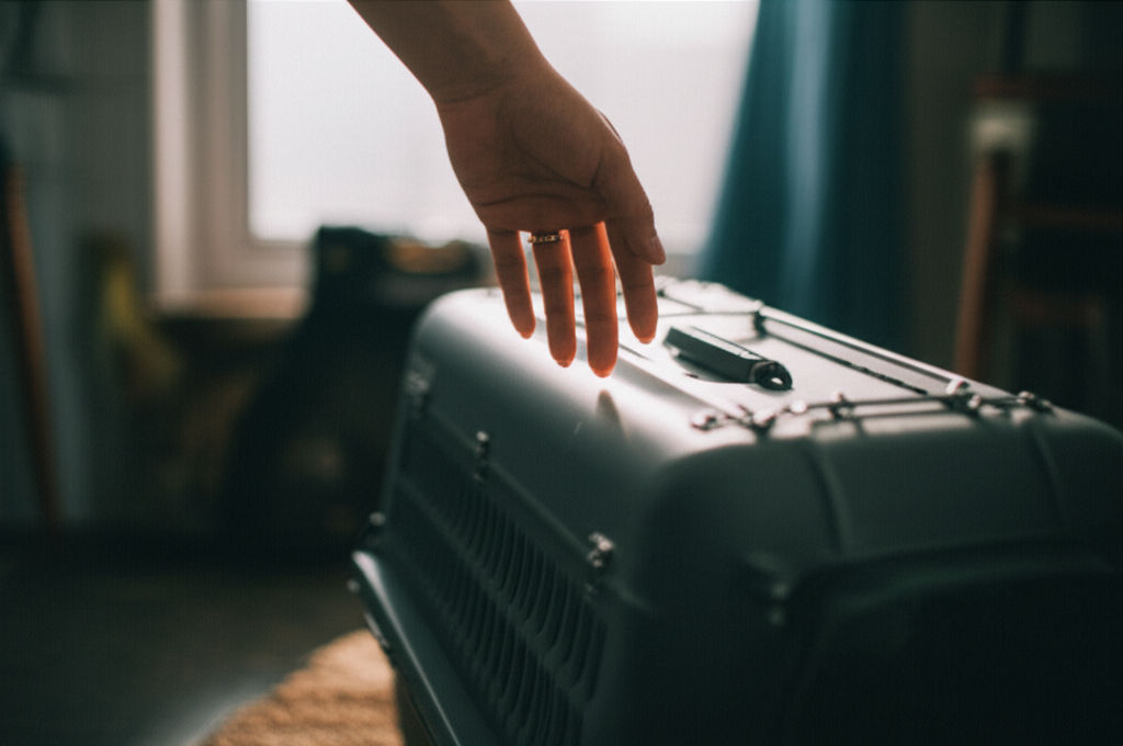 Choose the best dog travel crate for safe, comfortable journeys. Our ultimate guide covers types, essential features, and stress-free travel tips.