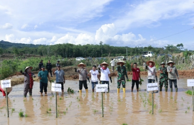 Bupati Empat Lawang Ikuti Tanam Perdana Cetak Sawah Rakyat se-Sumatera Selatan