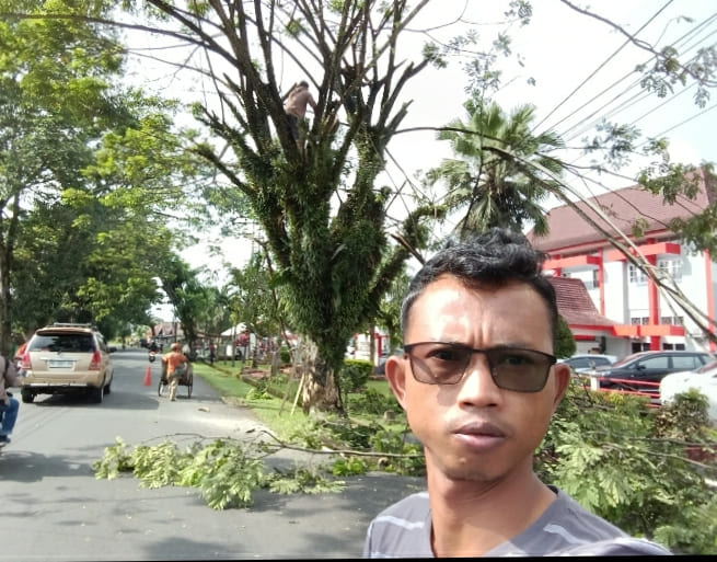 Sekretaris KT Barat 2 Minta DLH Tebang Pohon Tua di Depati Said